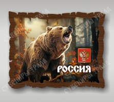 Медведь РОССИЯ 02